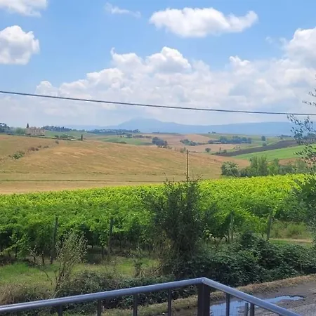 Vista Vigneto Cortona