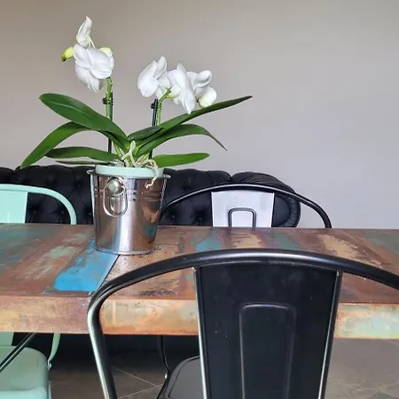 Vista Vigneto Cortona