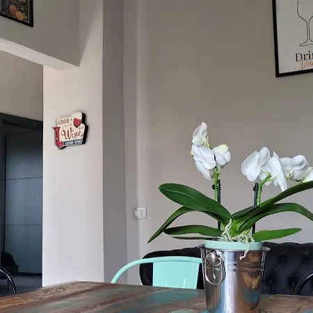 Vista Vigneto Кортона