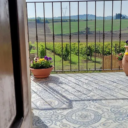 Vista Vigneto *