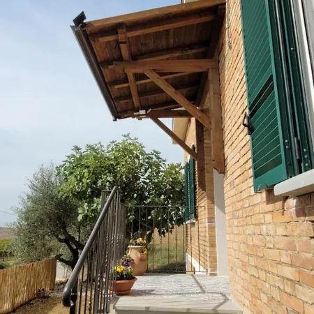 Vista Vigneto * Cortona