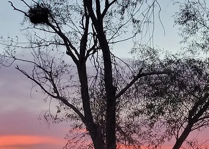 Vista Vigneto Hébergement de vacances Cortone