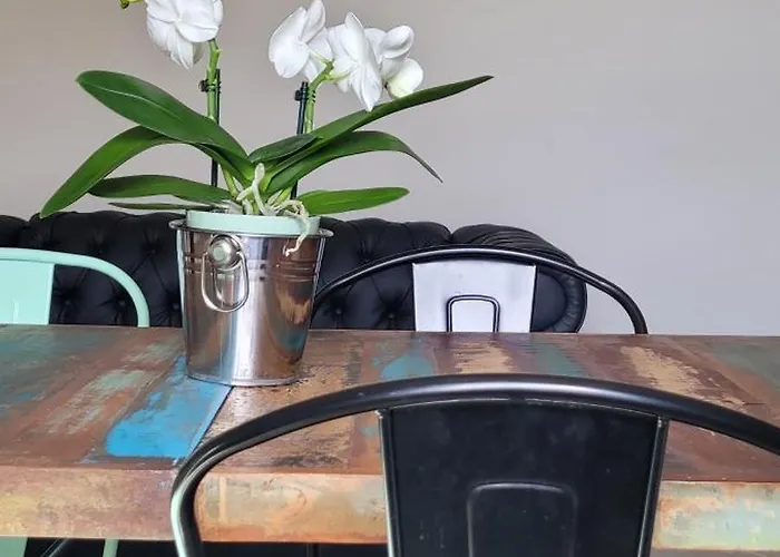 Vista Vigneto Cortone