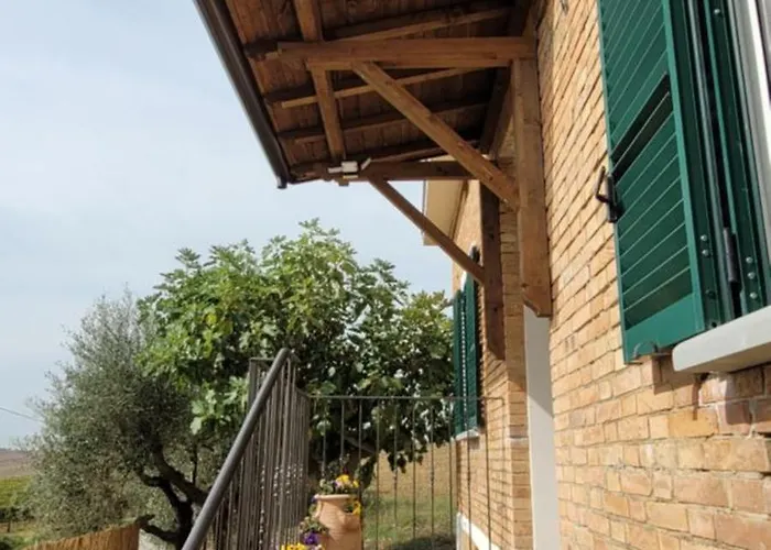 Vista Vigneto * Cortona