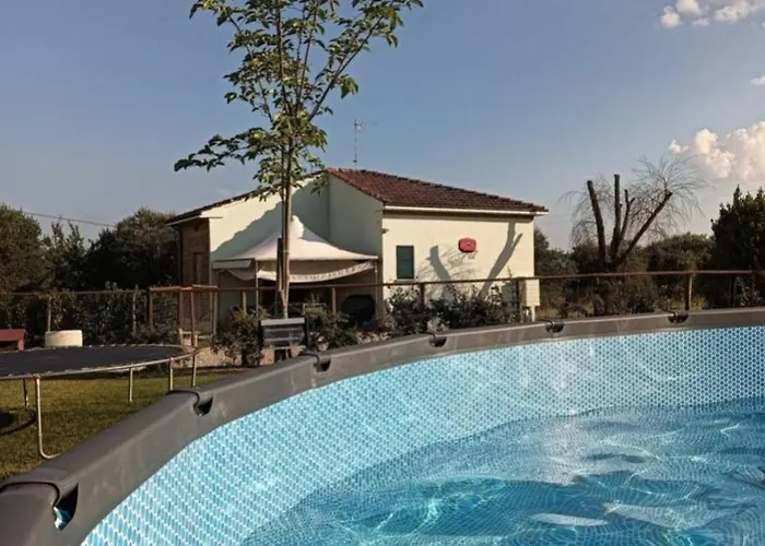 Vista Vigneto Cortona