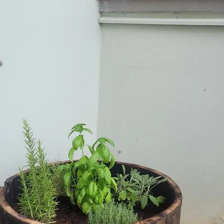 Vista Vigneto Дом отдыха *