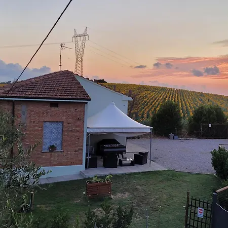 Vista Vigneto Кортона