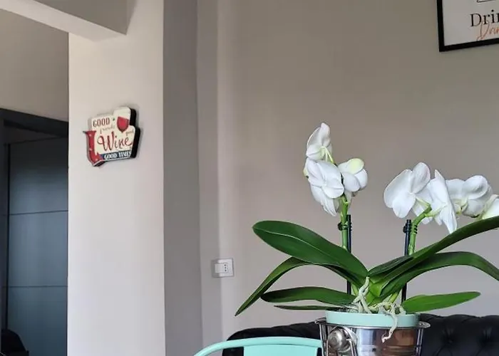 Vista Vigneto Кортона