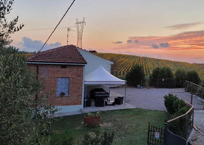 Vista Vigneto Кортона